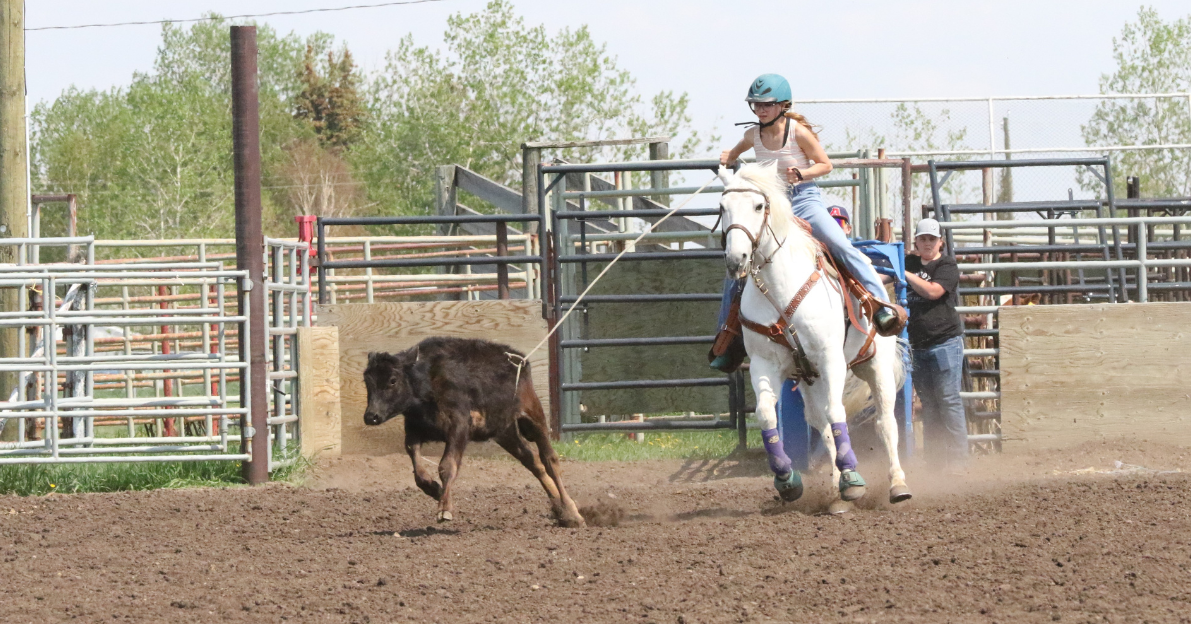 Foremost Rodeo NEWS